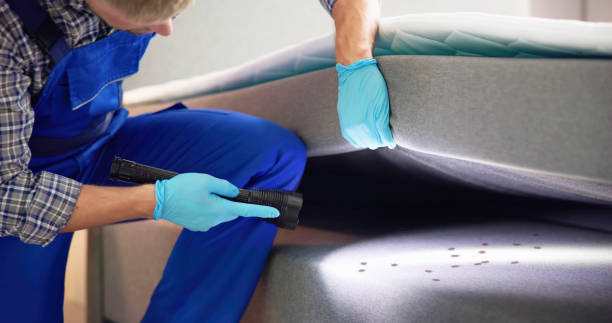 Professional Pest Control in Columbiana, AL