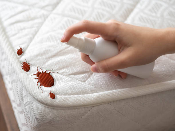 Best Affordable Pest Control Services  in Columbiana, AL