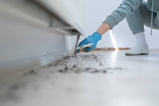 Best Ant Control Services  in Columbiana, AL