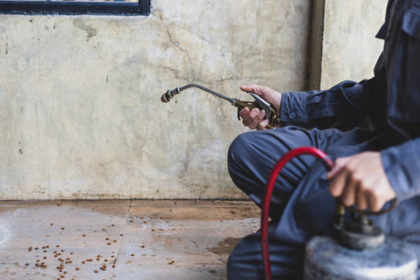 Best Mosquito Control Services  in Columbiana, AL