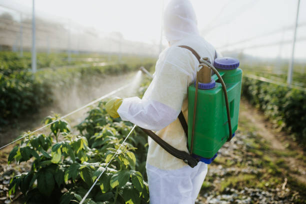 Insect Control in Columbiana, AL